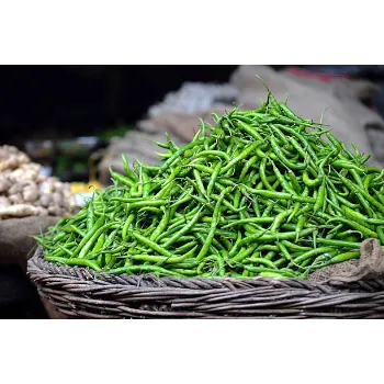 Common Green Chilli 